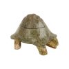 Houten Schildpad Trinket Doos Snuisterij Vide Poche