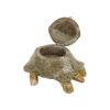 Houten Schildpad Trinket Doos Snuisterij Vide Poche