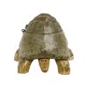 Houten Schildpad Trinket Doos Snuisterij Vide Poche