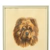 Vintage Ingelijste Kleuren Ets Hond Chow Chow Gesigneerd