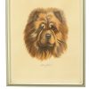 Vintage Ingelijste Kleuren Ets Hond Chow Chow Gesigneerd
