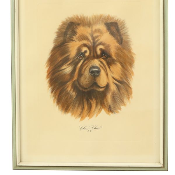 Vintage Ingelijste Kleuren Ets Hond Chow Chow Gesigneerd
