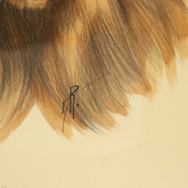 Vintage Ingelijste Kleuren Ets Hond Chow Chow Gesigneerd