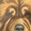 Vintage Ingelijste Kleuren Ets Hond Chow Chow Gesigneerd