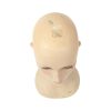 Grote Vintage Mannequin Etalage Hoofd Vrouw Paspop 52cm Grote Vintage Mannequin Etalage Hoofd Vrouw Paspop 52cm