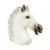 Grote Klassieke Buste Parthenon Paard Griekse Stijl Gips 39cm