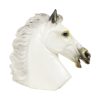 Grote Klassieke Buste Parthenon Paard Griekse Stijl Gips 39cm
