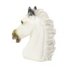 Grote Klassieke Buste Parthenon Paard Griekse Stijl Gips 39cm
