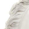 Grote Klassieke Buste Parthenon Paard Griekse Stijl Gips 39cm