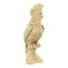A. Santini Kaketoe Beeld Sculptuur Albast Resine 37cm