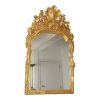 Grote Klassieke Houten Spiegel Rococo Stijl Chinoiserie 124cm